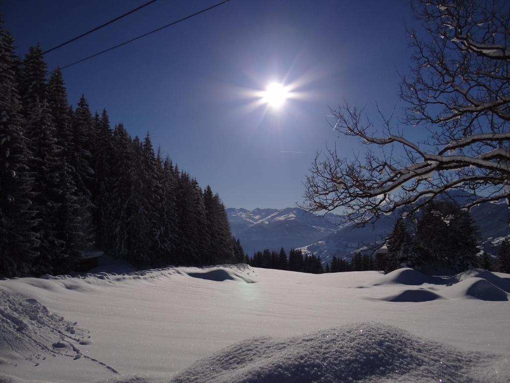 Das Sonnleiten Ski- Und Motorradhotel Bruck Im Zillertal Bruck am Ziller Extérieur photo
